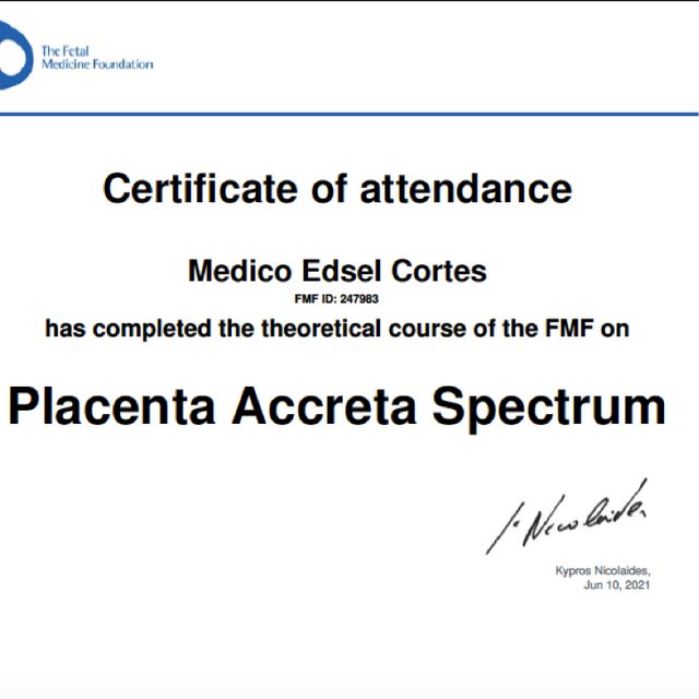Ampliar imagen: certificate 5