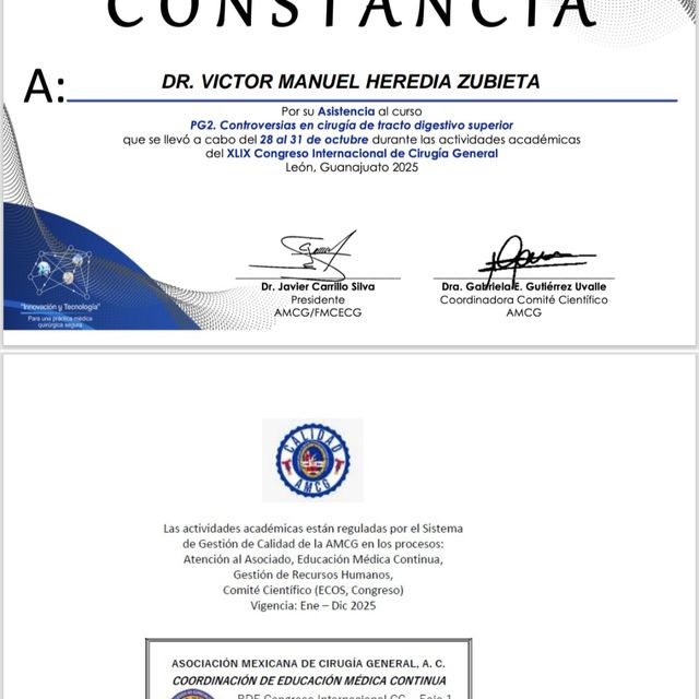Ampliar imagen: certificate 3