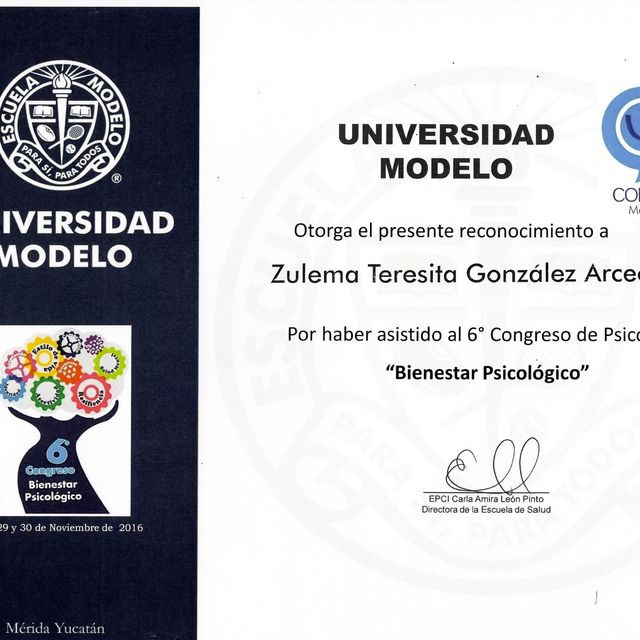 Ampliar imagen: certificate 27