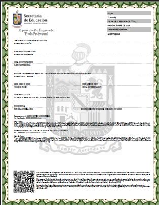 Ampliar imagen: certificate 3