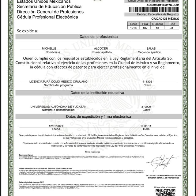 Ampliar imagen: certificate 5
