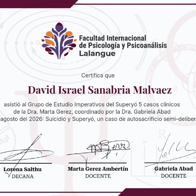Ampliar imagen: certificate 1