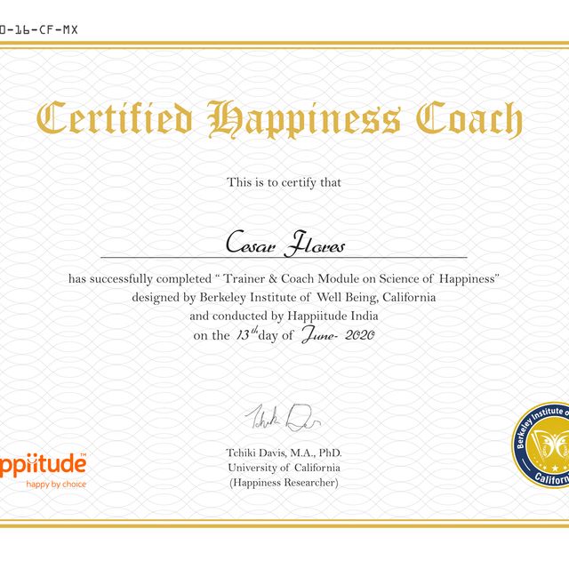 Ampliar imagen: certificate 3