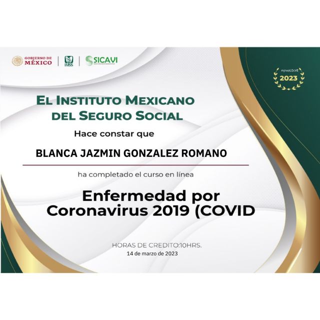 Ampliar imagen: certificate 4