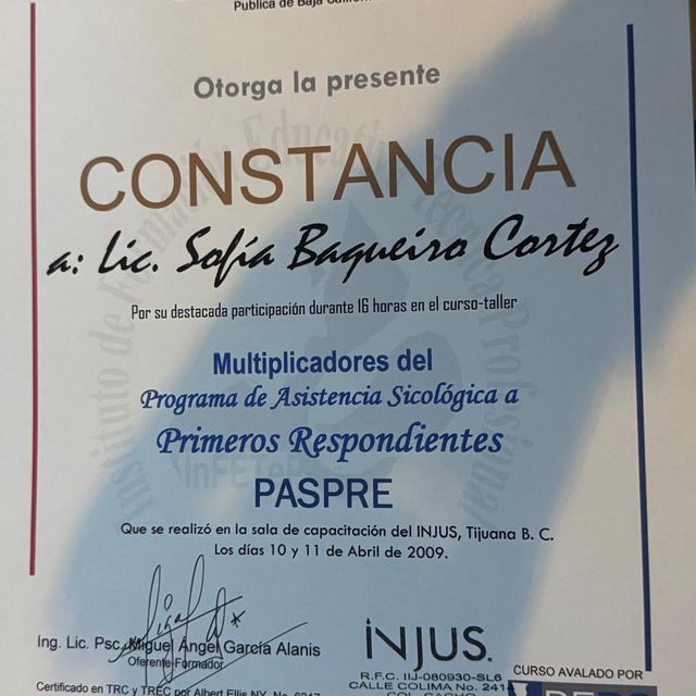 Ampliar imagen: certificate 16
