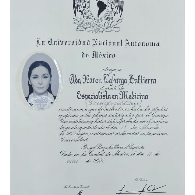 Ampliar imagen: certificate 5
