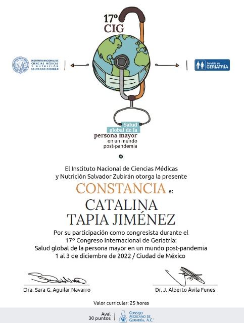 Ampliar imagen: certificate 13