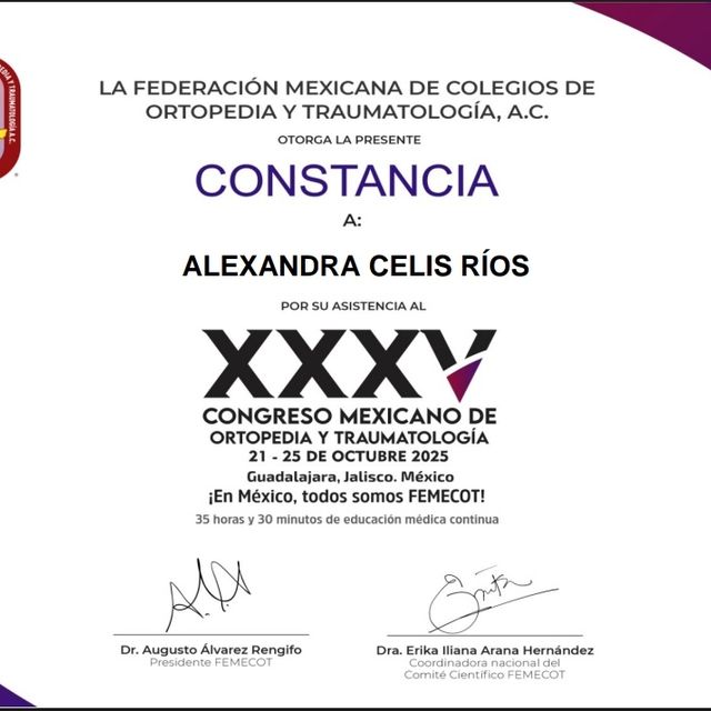 Ampliar imagen: certificate 2