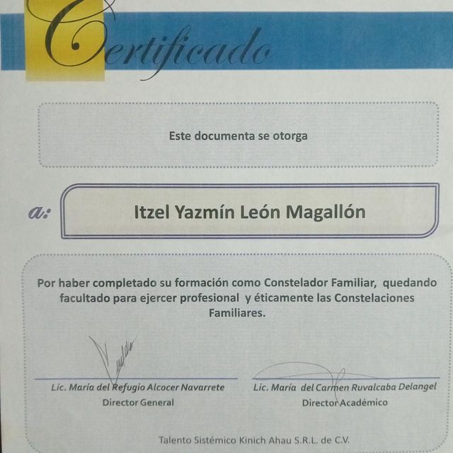 Ampliar imagen: certificate 4
