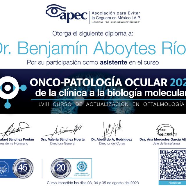 Ampliar imagen: certificate 9