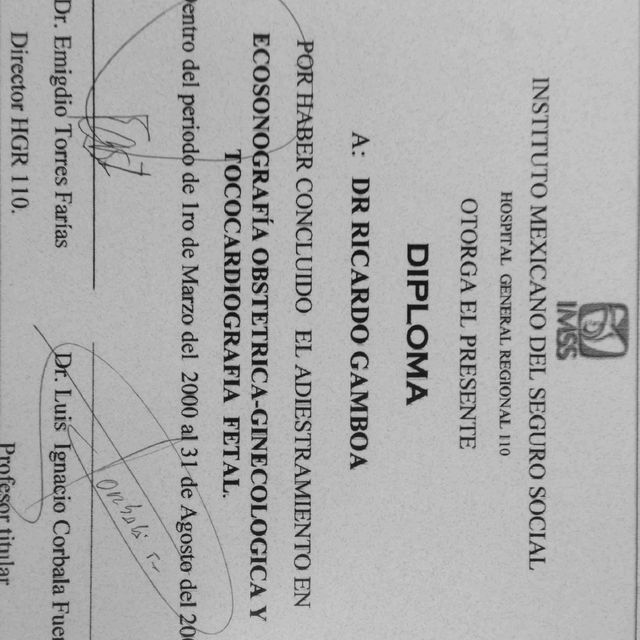 Ampliar imagen: certificate 4