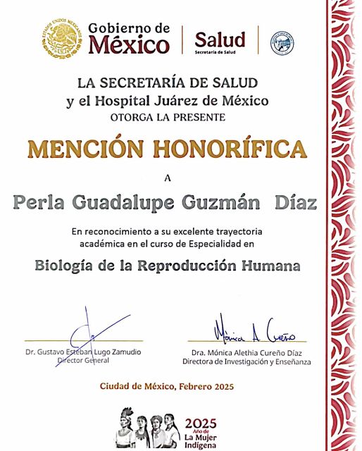 Ampliar imagen: certificate 7