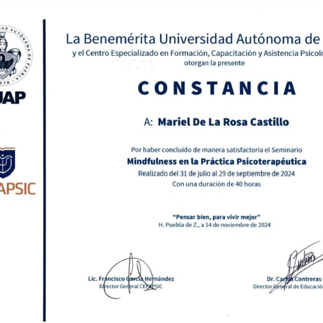 Ampliar imagen: certificate 13