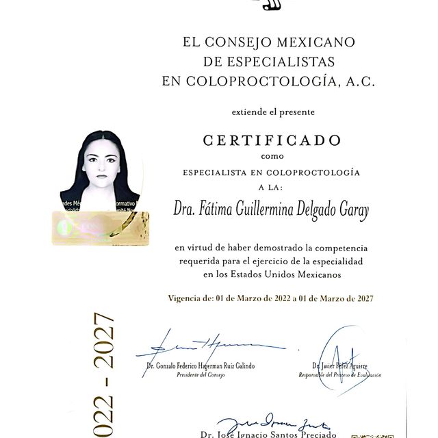 Ampliar imagen: certificate 1