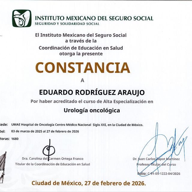 Ampliar imagen: certificate 3