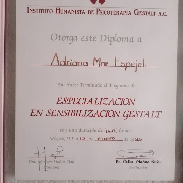 Ampliar imagen: certificate 1