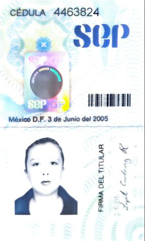 Ampliar imagen: certificate 3