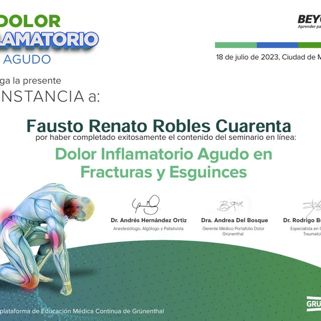 Ampliar imagen: certificate 29