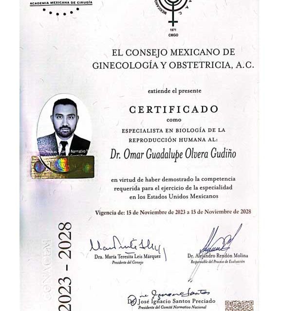 Ampliar imagen: certificate 4