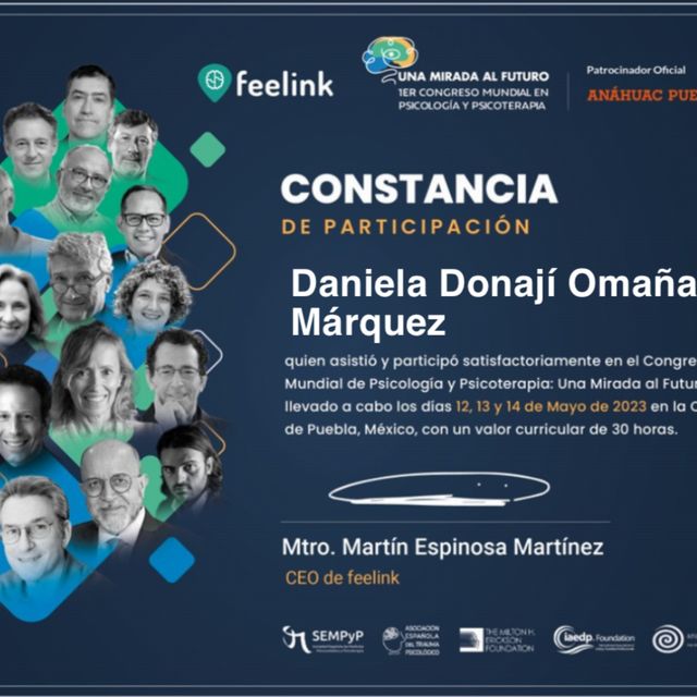 Ampliar imagen: certificate 7