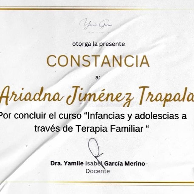 Ampliar imagen: certificate 7