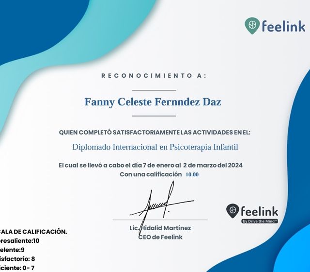 Ampliar imagen: certificate 15