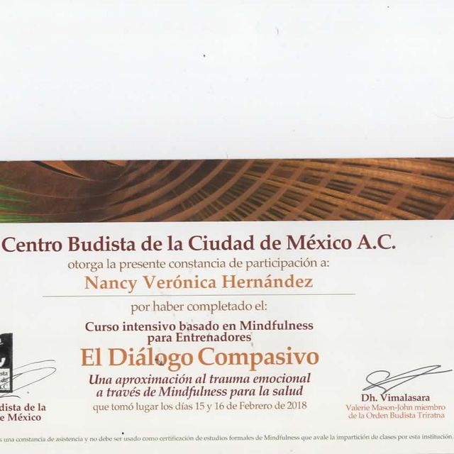 Ampliar imagen: certificate 3