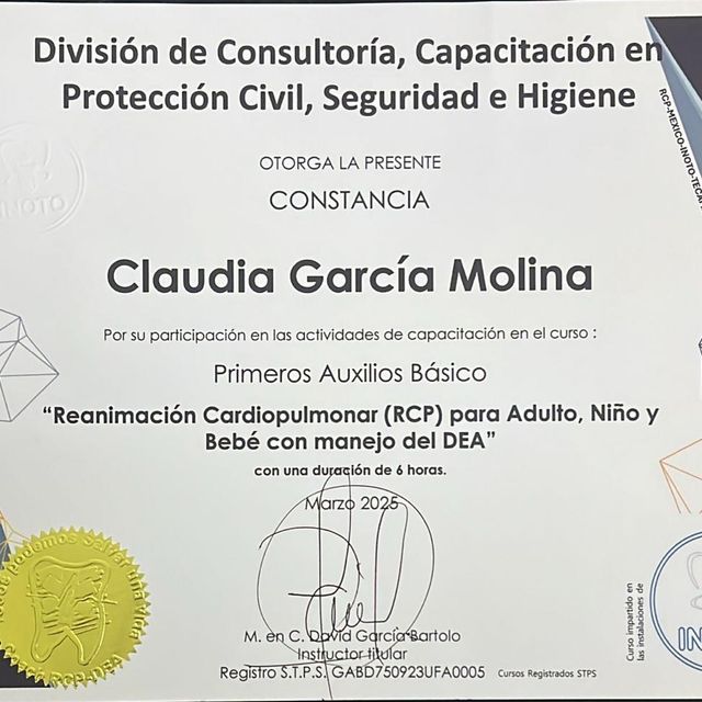 Ampliar imagen: certificate 7