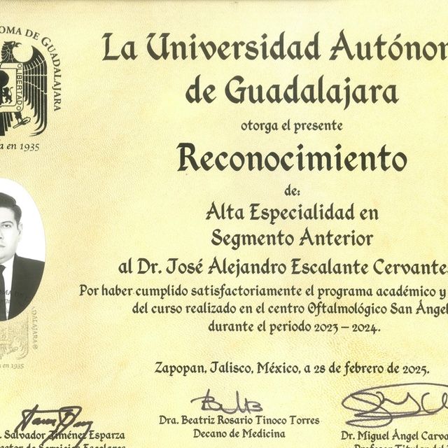Ampliar imagen: certificate 8