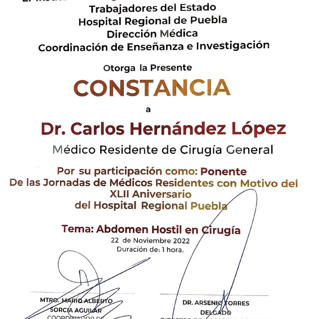 Ampliar imagen: certificate 25