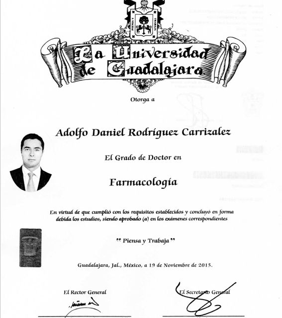 Ampliar imagen: certificate 2