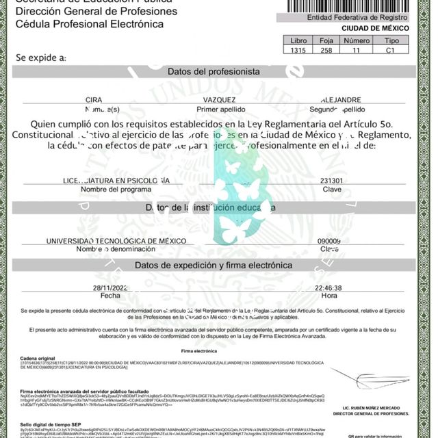 Ampliar imagen: certificate 4