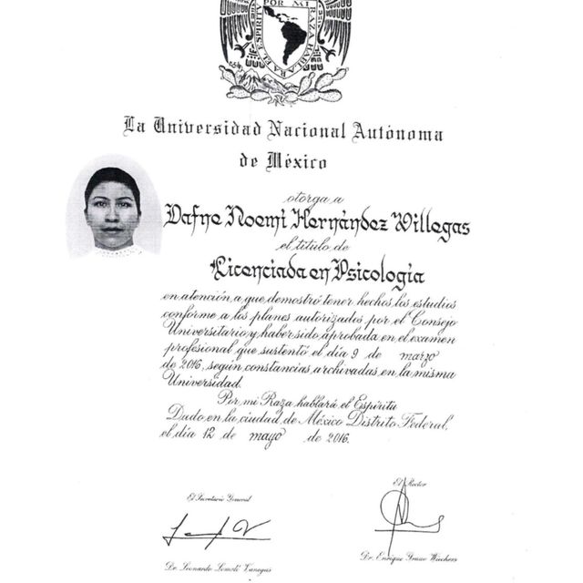 Ampliar imagen: certificate 1
