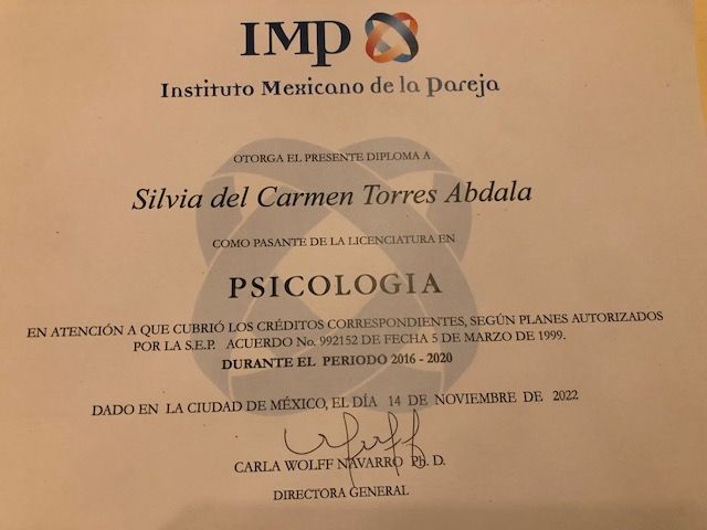 Ampliar imagen: certificate 6