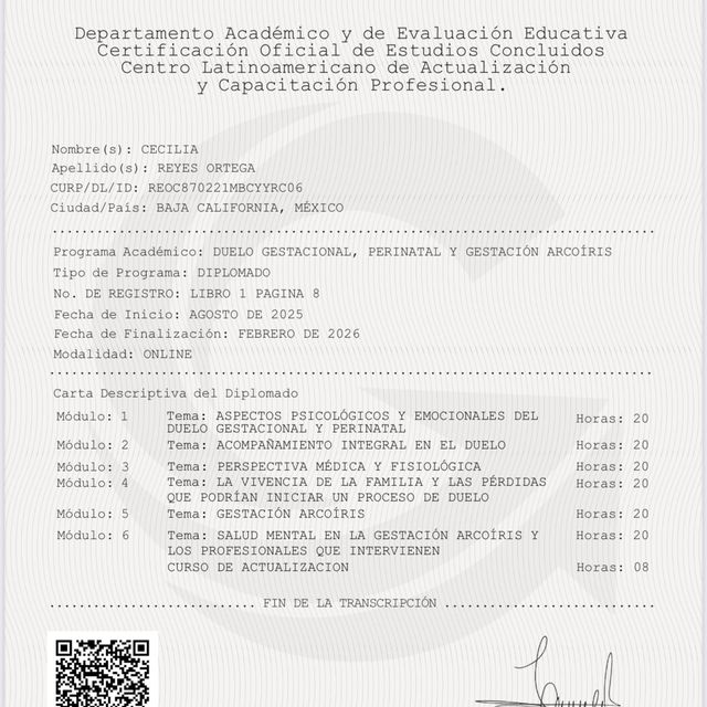 Ampliar imagen: certificate 1