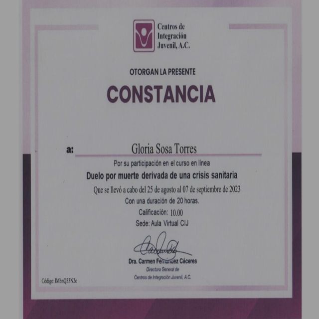 Ampliar imagen: certificate 7