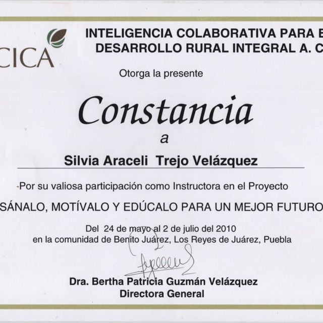 Ampliar imagen: certificate 7