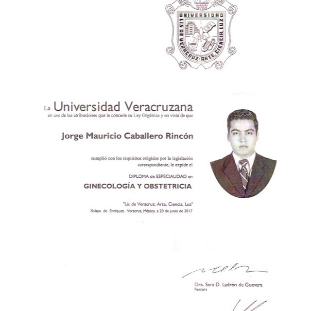 Ampliar imagen: certificate 6