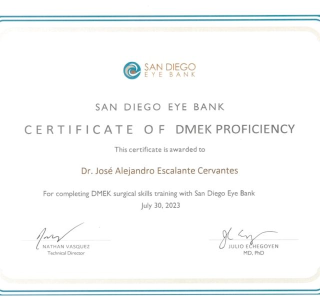 Ampliar imagen: certificate 7