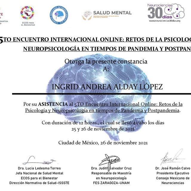 Ampliar imagen: certificate 2