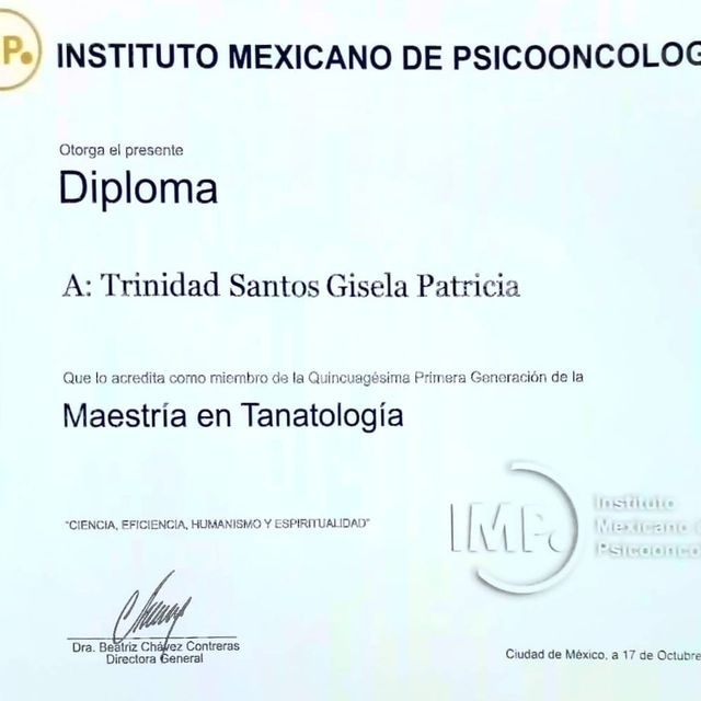 Ampliar imagen: certificate 4