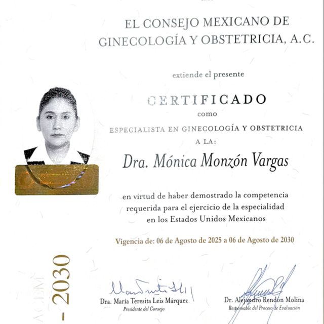 Ampliar imagen: certificate 8