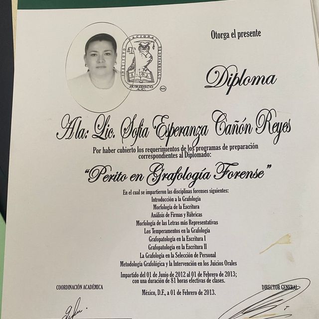 Ampliar imagen: certificate 6