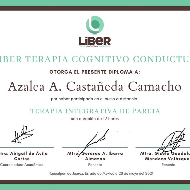 Ampliar imagen: certificate 20