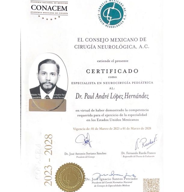 Ampliar imagen: certificate 5