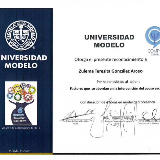 Ampliar imagen: certificate 29