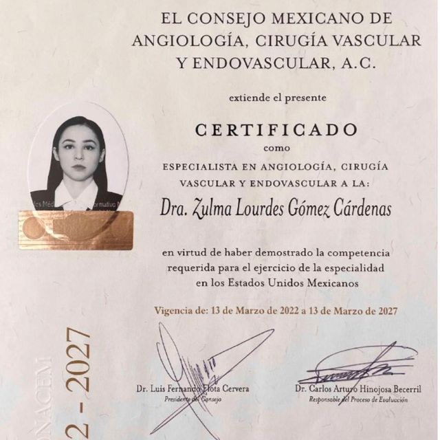 Ampliar imagen: certificate 1