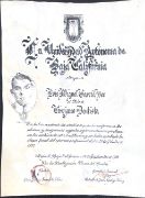 Ampliar imagen: certificate 1