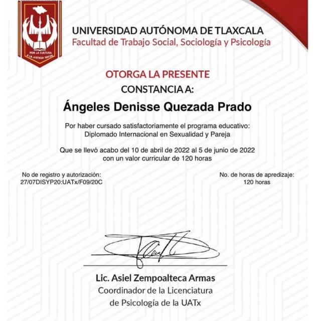 Ampliar imagen: certificate 13
