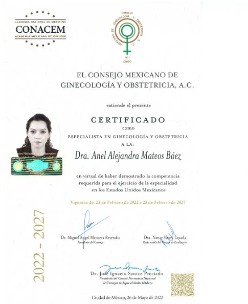 Ampliar imagen: certificate 7